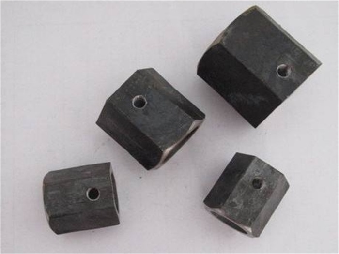 武夷山无纹螺母