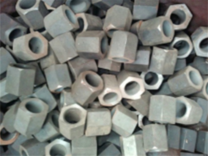 武夷山无纹螺母