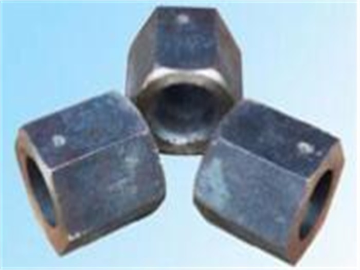 武夷山无纹螺母